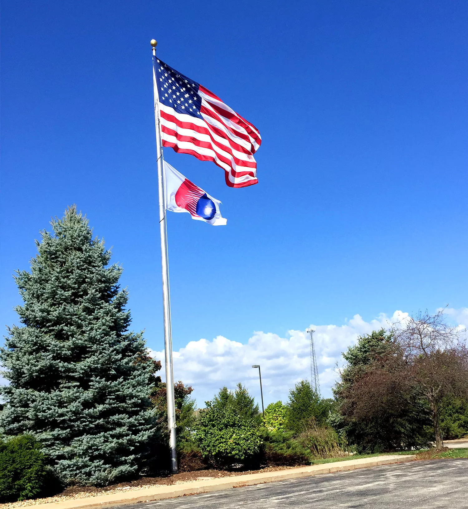 Bulk-Chemical-Supplier-America-Flag.jpg Bulk-Chemical-Supplier-America-Flag.jpg